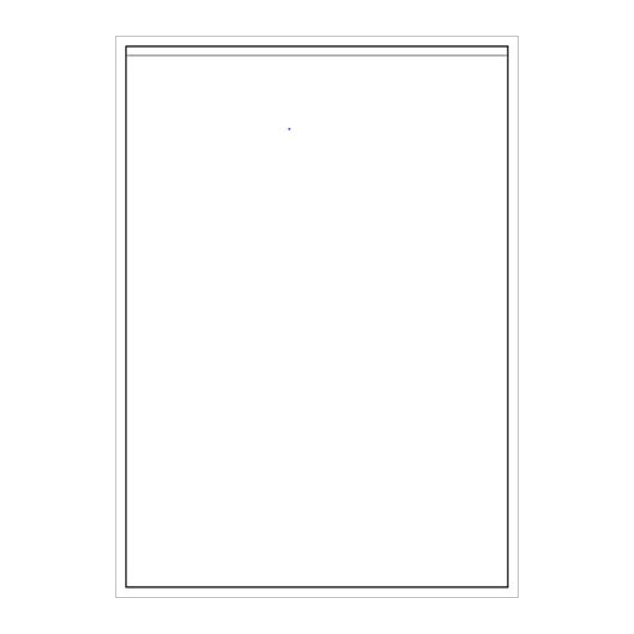 A4 Matte Laser Permanent Labels 1000 Sheets per carton (8 sizes to choose from) for warehouse and shipping use – PDQ Labels Australia